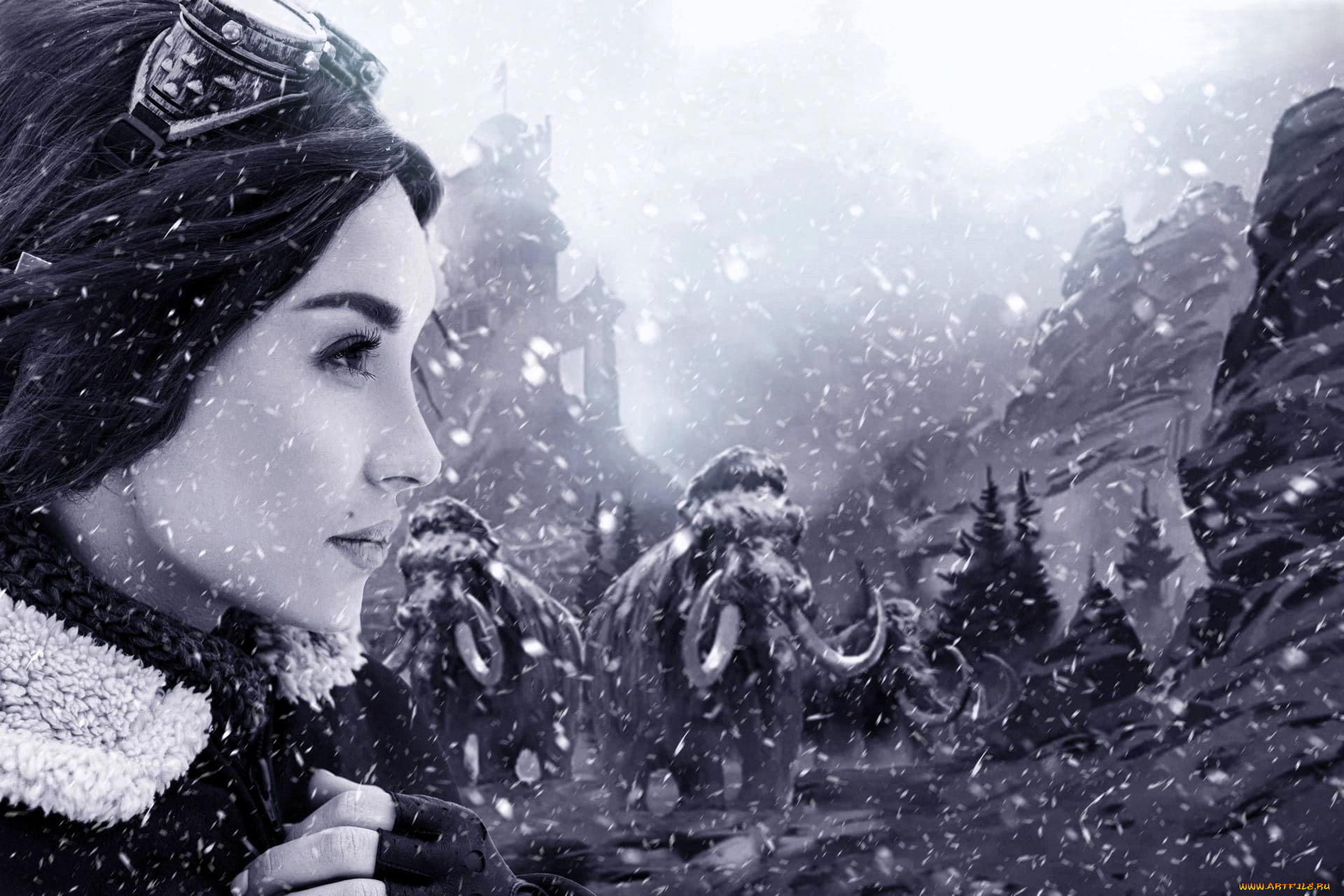 �������, ���� ���������, �����, �������, �����, ������, ����, ����, �������, ������